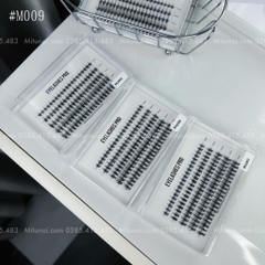 Mi chùm trụ quỷ nhỏ