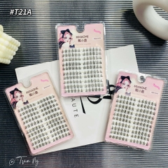 Mi cụm hướng dương