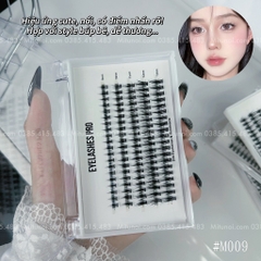 Mi chùm trụ quỷ nhỏ