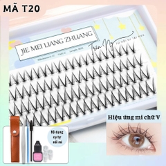 Combo mi chữ V