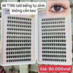 Mi cụm lười biếng keo sẵn