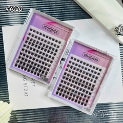 Mi cụm Âu Mỹ Y020