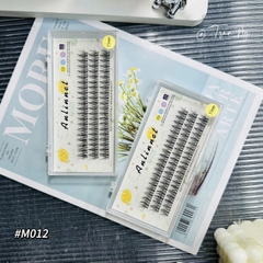 Mi chùm trụ so le Thái