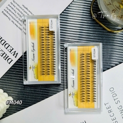 Mi Chùm Trụ Vàng