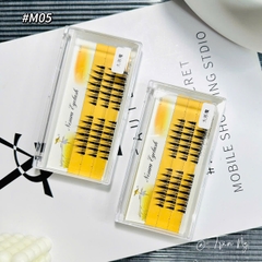 Mi chùm mắt ướt