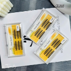 Mi chùm mắt ướt