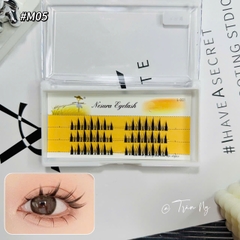 Mi chùm mắt ướt