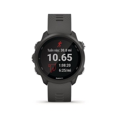 Đồng hồ thông minh Forerunner 245, GPS, Xám/Vàng, SEA