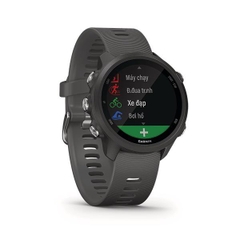 Đồng hồ thông minh Forerunner 245, GPS, Xám/Vàng, SEA