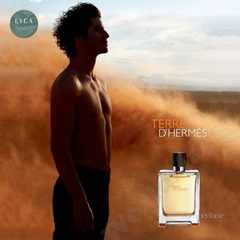 [HERMES] NƯỚC HOA NAM HERMES TERRE PURE FARFUM 100ML