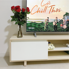 RAYA, Kệ, Tủ ti vi TVD_089 , 1600x350x400cm (Ngang x Sâu x Cao), Scandi Home