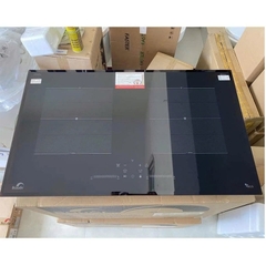 Bếp Từ Bauer BE 56GT Pro