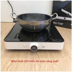 Bếp Từ Eurosun EU-T197