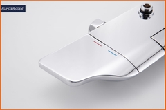 Vòi Sen Tắm Đứng RGL S3009LUX