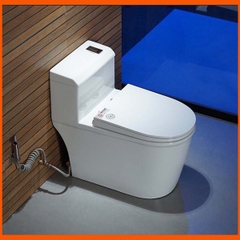 Bồn Cầu KRASIC K-8009