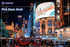 Du lịch hoa đông: Hà Nội - Thượng Hải - Hàng Châu - Ô Trấn - Đôn Khê
