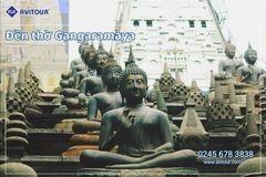 Du lịch Sri Lanka - Xứ Tích Lan 2026: Tham Dự Lễ Hội Rước Xá Lợi Răng Phật