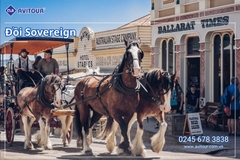 Du Lịch Nước Úc 2026: Hà Nội - Melbourne - Canberra - Sydney - Hà Nội