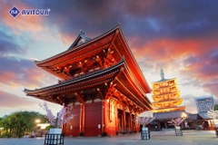 Du lịch Nhật Bản 2023| Osaka – Nara - Kyoto – Fuji Moutain – Oshino Hakkai – Tokyo