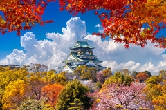 Du Lịch Nhật Bàn | TOKYO – PHÚ SỸ - NAGOYA – KYOTO – OSAKA [6 Ngày 5 Đêm] Bay VietjetAir