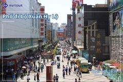 Du Lịch Trung Quốc 2026: Tour Thành Đô - Cửu Trại Câu - Đô Giang Yển