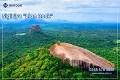 Du lịch Sri Lanka 2026: Khám Phá Xứ Tích Lan