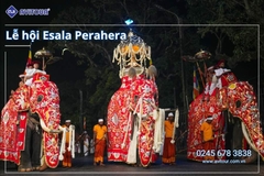 Du lịch Sri Lanka - Xứ Tích Lan 2026: Tham Dự Lễ Hội Rước Xá Lợi Răng Phật