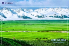 Du Lịch Tân Cương 2026: Hà Nội - Urumqi - Kanas - Burqin - Hemu - Nalati - Yining