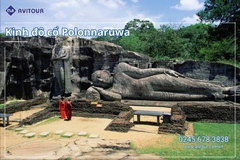 Du lịch Sri Lanka - Xứ Tích Lan 2026: Tham Dự Lễ Hội Rước Xá Lợi Răng Phật