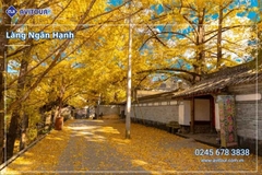 Du lịch Vân Nam 2026: Hà Khẩu - Côn Minh - Đằng Xung - Làng Ngân Hạnh - Hòa Thuận Cổ Trấn