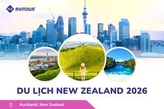 Du lịch New Zealand 2026: Tour Auckland - Waitomo - Taupo - Rotorua - Matamata - Hamilton