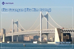 Du lịch Hàn Quốc 2026: Hà Nội – Busan – Seoul – Starfiled – Lotte Worf