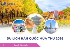 Du Lịch Hàn Quốc Mùa Thu 2026: Seoul City - Nami Island - Du thuyền Sông Hàn - Công Viên Seoul Forest - Làng Ikseon Dong - Tắm Sauna - Coex Starfield - Everland