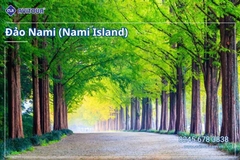 Du lịch Hàn Quốc 2026: Hà Nội – Lotte Word – Đảo Nami – Làng Cổ Hanok Bukchon