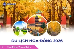 Du lịch Hoa Đông 2026: Tour Hà Nội - Thượng Hải - Tô Châu - Tây Đường - Nam Kinh