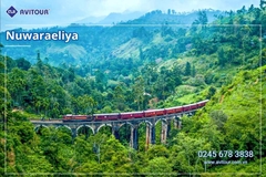 Du lịch Sri Lanka 2026: Khám Phá Xứ Tích Lan