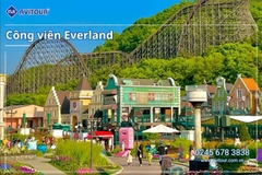 Du Lịch Hàn Quốc Mùa Thu Lễ 2/9/2026: Seoul City - Nami Island - Du thuyền Sông Hàn - Công Viên Seoul Forest - Làng Ikseon Dong - Tắm Sauna - Coex Starfield - Everland