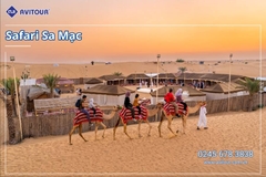 Du Lịch Dubai Lễ 2/9/2026: Dubai - Safari - Abu Dhabi
