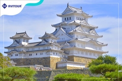 Du lịch Nhật Bản 2023| Tokyo – Núi Phú Sĩ – Kyoto - Osaka