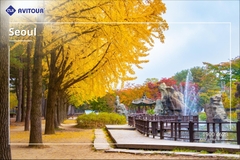 Du lịch Hàn Quốc 2023| Hà Nội - Seoul - Jeju - Nami - Everland