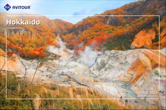 Du lịch Nhật Bản 2023| Khám Phá Hokkaido – Vùng Đất Vàng