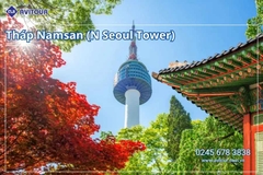 Du lịch Hàn Quốc 2026: Hà Nội – Busan – Seoul – Starfiled – Lotte Worf