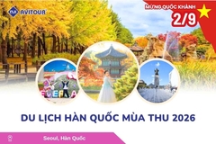 Du Lịch Hàn Quốc Mùa Thu Lễ 2/9/2026: Seoul City - Nami Island - Du thuyền Sông Hàn - Công Viên Seoul Forest - Làng Ikseon Dong - Tắm Sauna - Coex Starfield - Everland