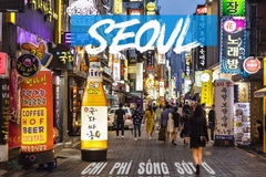 Du lịch Hàn Quốc: Seoul - Everland - Đảo Nami -  [5 Ngày 4 đêm] - Bay Bamboo Airways