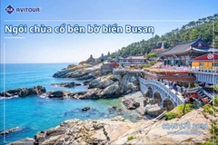 Du Lịch Hàn Quốc Mùa Hè 2026:  Hà Nội - Busan - Gyeongju - Seoul - Đảo Nami - Tàu Điện Ven Biển Haeundae - Cầu Kính Oryukdo - Làng Văn Hóa Huinnyeoul