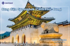 Du lịch Hàn Quốc 2026: Hà Nội – Busan – Seoul – Starfiled – Lotte Worf