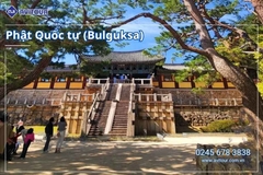 Du Lịch Hàn Quốc Mùa Hè 2026:  Hà Nội - Busan - Gyeongju - Seoul - Đảo Nami - Tàu Điện Ven Biển Haeundae - Cầu Kính Oryukdo - Làng Văn Hóa Huinnyeoul