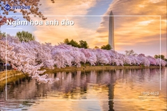 Du lịch Đông Tây Hoa Kỳ 2024| New York – Philadelphia – Delaware - Washington Dc – Las Vegas – Grand Canyon (Đại Vực) – Los Angeles – Universal Studio – San Diego – Solvang – San Jose – San Francisco