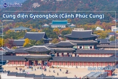 Du lịch Hàn Quốc 2026: Tour Hà Nội - Busan - Gyeongju - Seoul - Đảo Nami - Tàu Điện Ven Biển Haeundae - Cầu Kính Oryukdo - Làng Văn Hóa Huinnyeoul