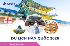 Du lịch Hàn Quốc 2026: Tour Hà Nội - Seoul - Nami - Everland - Painter Show - Thư Viện Sách